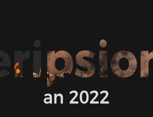 Goodbye 2021, Welcome 2022!
